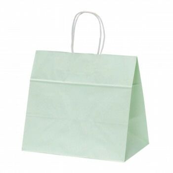 ファンシーバッグ M グリーン 50枚 XZL01014