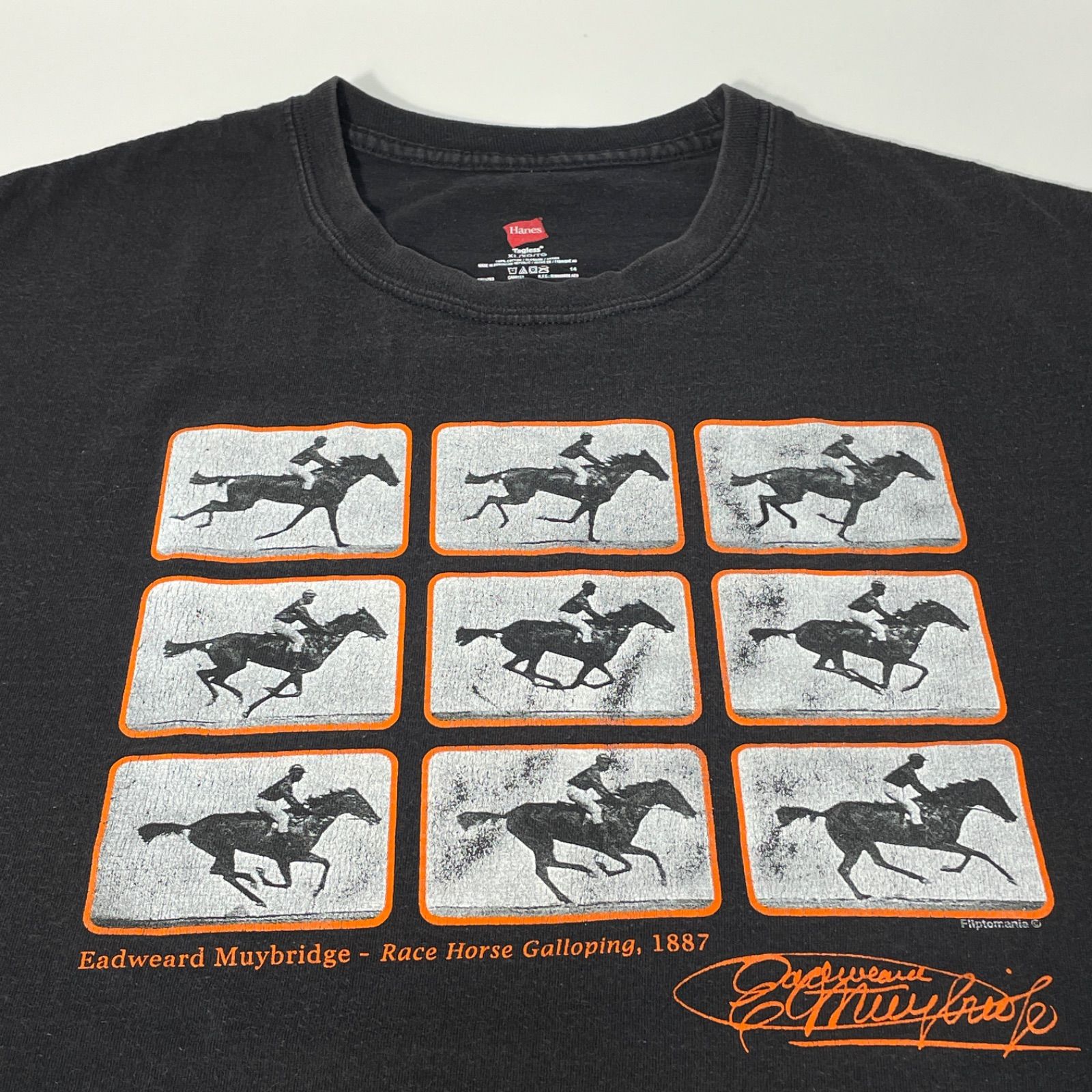 Hanes】イギリス 写真家 エドワード・マイブリッジ 動く馬 競走馬 