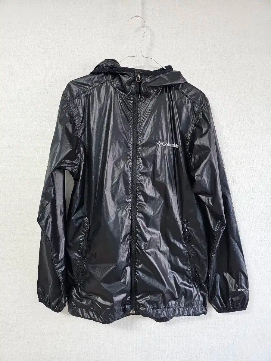 堂本印象 「メトロ」 超希少画集より、新品額装付