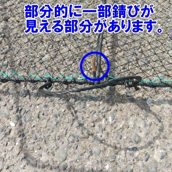 デカい！角型タイプ 10枚送料無料（九州沖縄別途追加送料