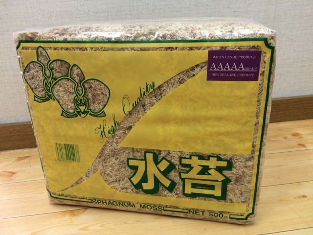 Spagmoss約500g AAAAA