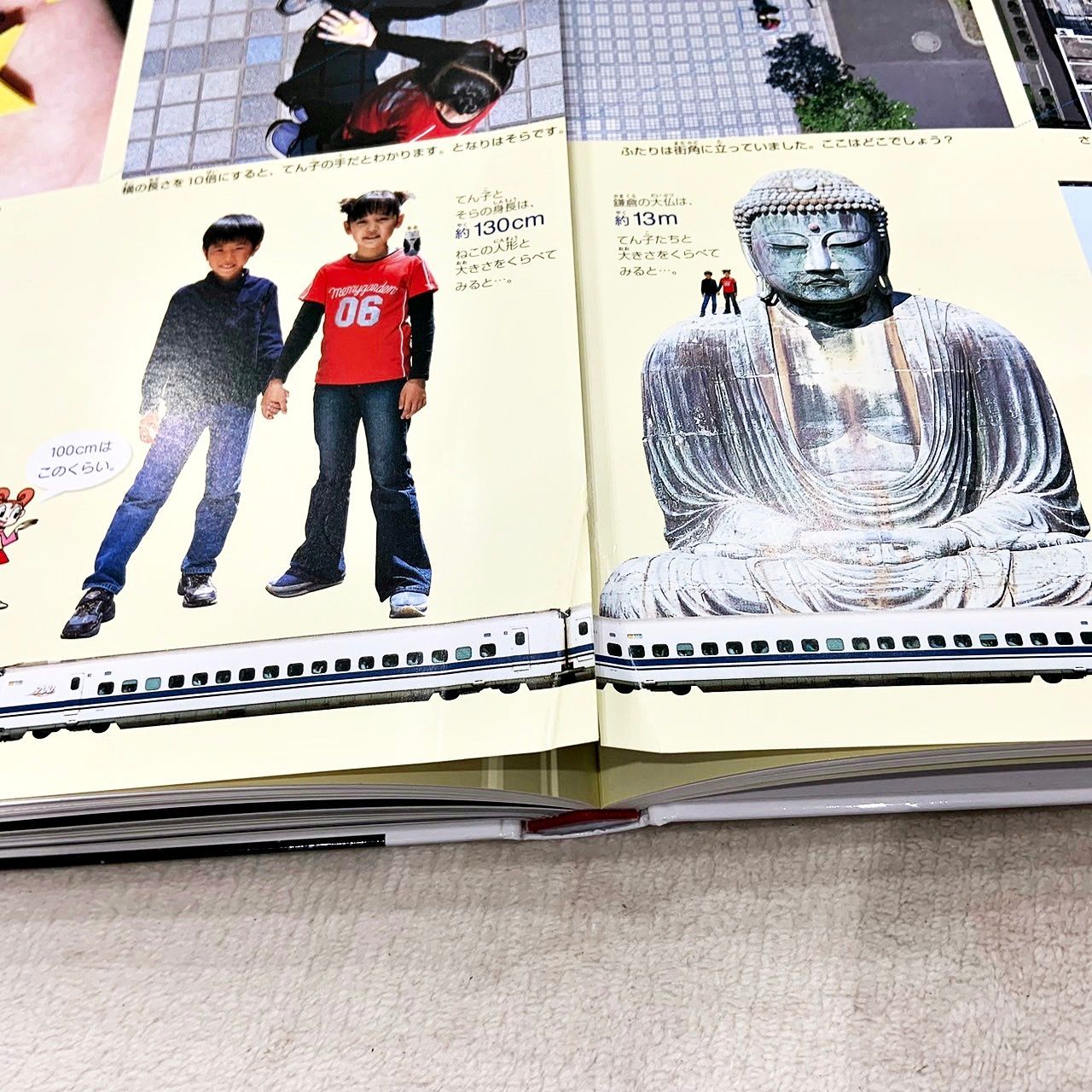 専用です。図鑑neo 小学館 13冊セット まとめ売り 小学館の図鑑NEOシリーズ 13冊セット - メルカリ