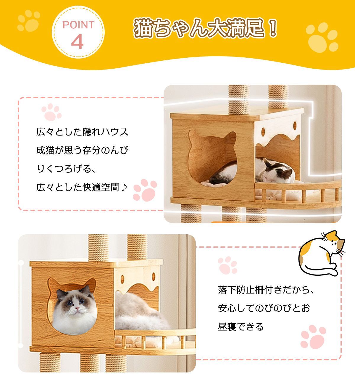 短足猫
