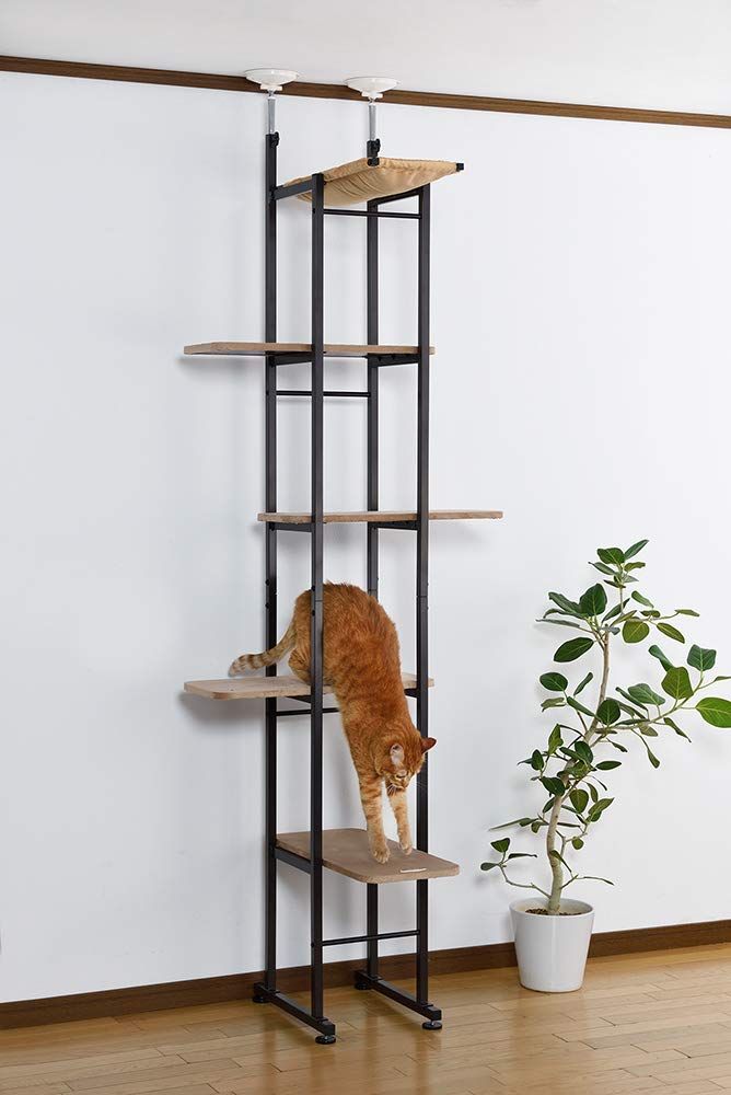 キャットベース Bonbi