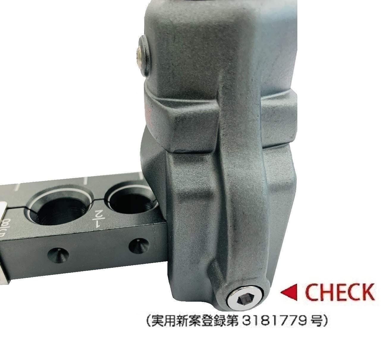 マニアおすすめ 一点物超大きい 紅朱砂 三十六眼天珠ネックレス