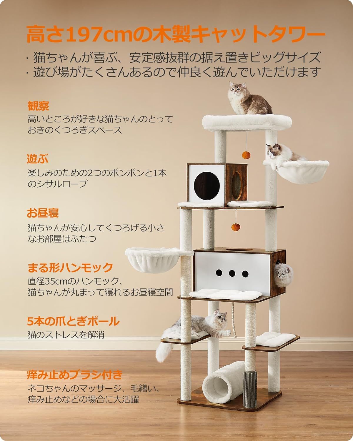大型猫用