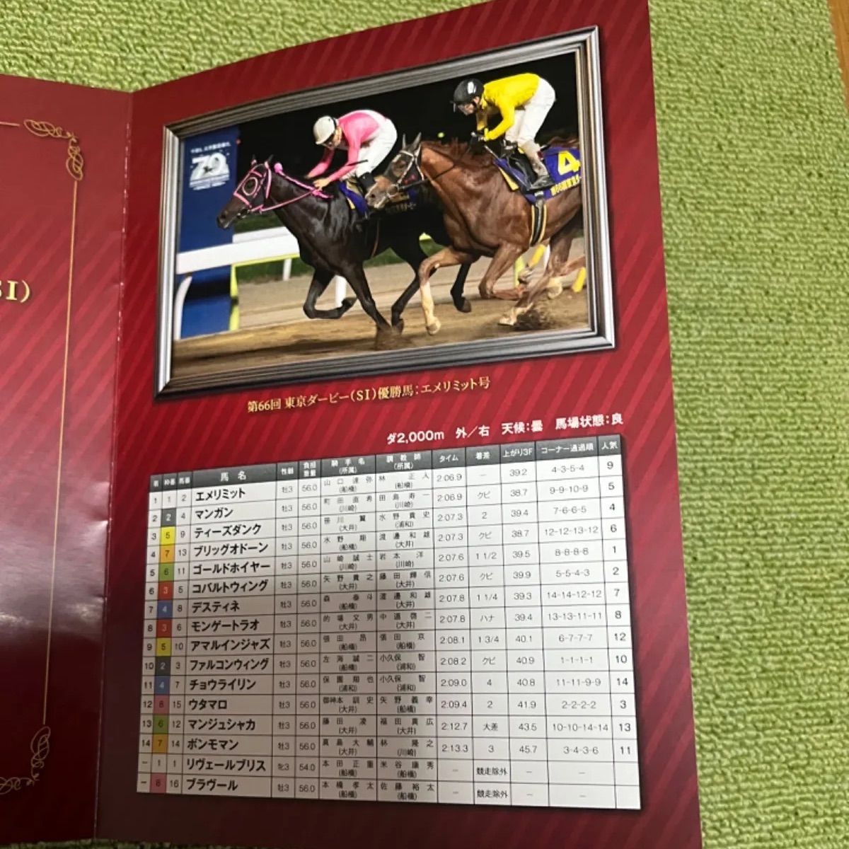 競馬グッズ第66回東京ダービー馬券セット