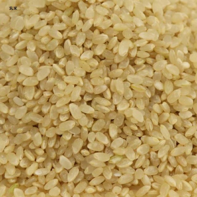 令和６年産　キヌヒカリ　小米とくず米 令和6年産新 和歌山県産キヌヒカリ | 紀州 スマイル