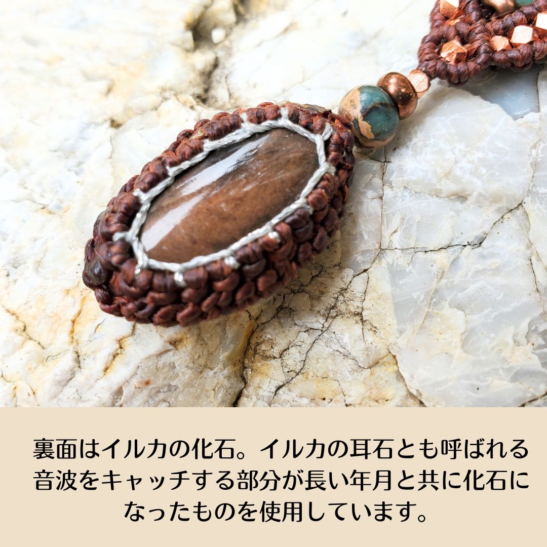 イルカの耳骨 化石 イルカの耳骨化石 2個セット イルカの耳