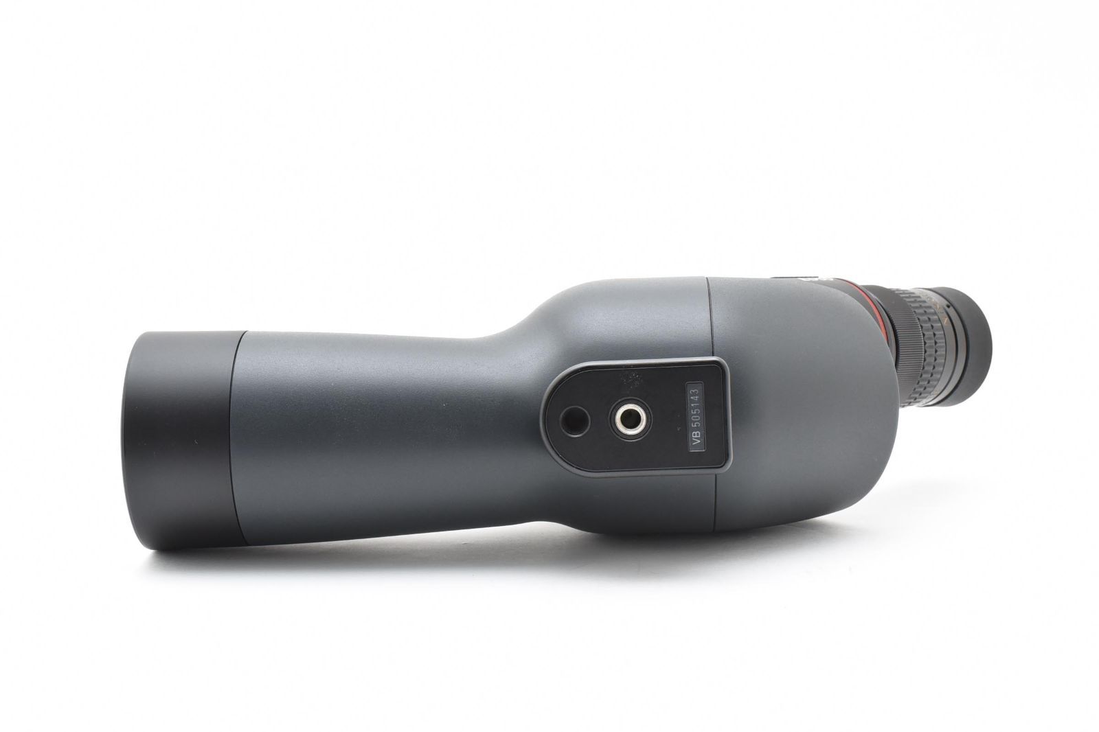 バードウォッチング