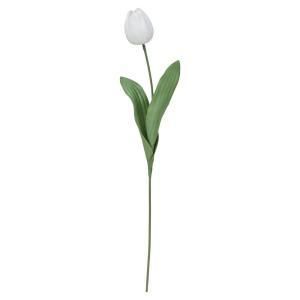 3営業日で発送 アスカ Asca チューリップ A-35035-001A 入数 24