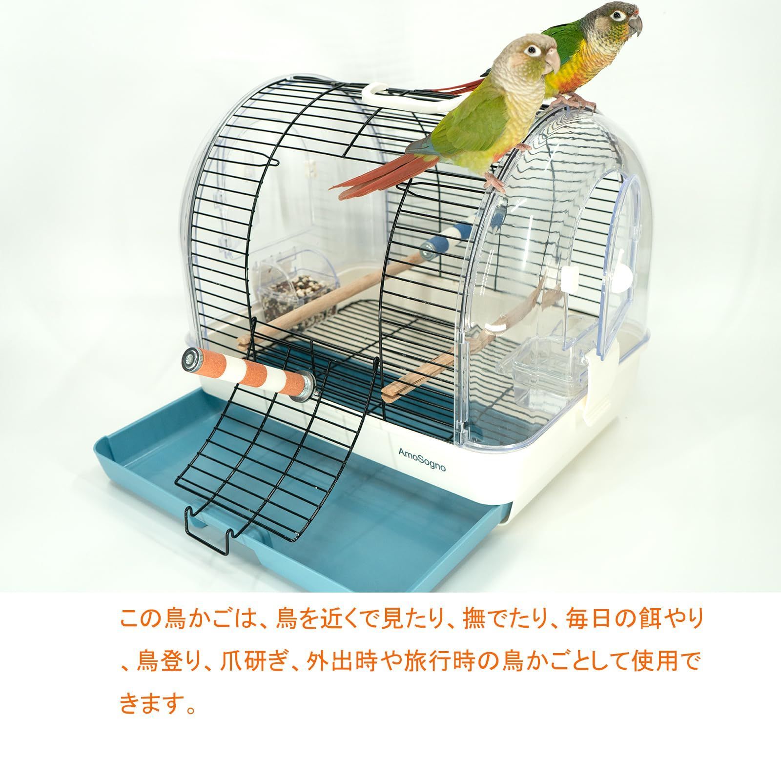 - ライトブルー