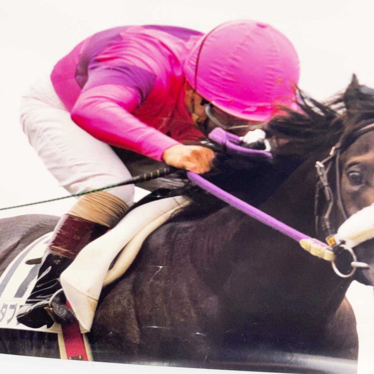 JRA アグネスフライトポスター　競馬　ウマ娘 4点セット] 競馬 JRA ポスター ナリタブライアン