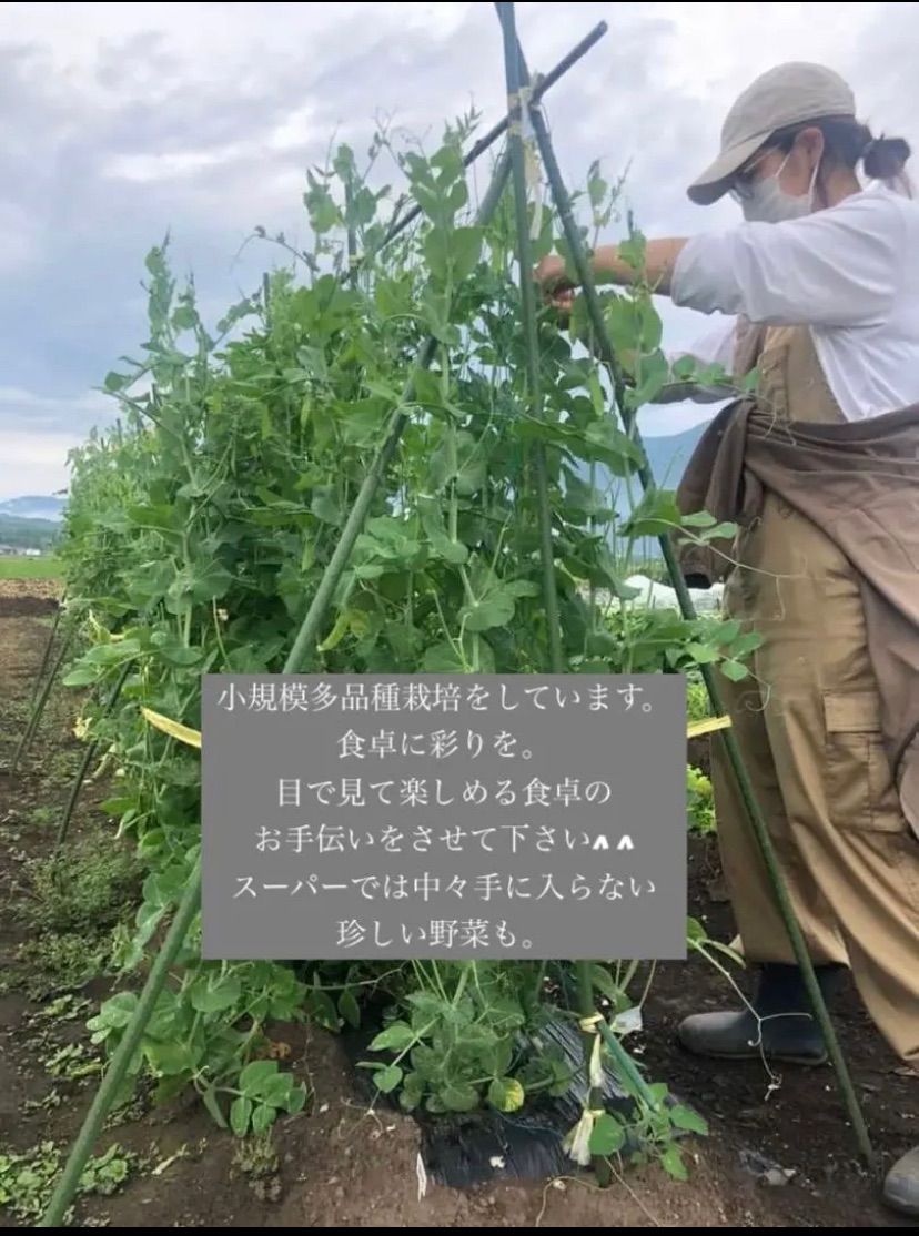 岩手県産 新鮮野菜の詰め合わせ　60サイズ ⚠︎常温便⚠︎ おまかせ野菜BOX