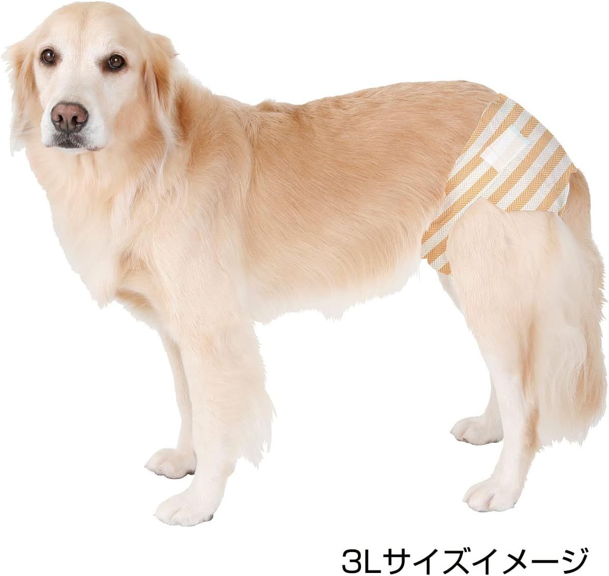 ペティオ (Petio) 犬用オムツ zuttone 介護から生まれた紙おむつ 3L 12枚×8個 ケース販売