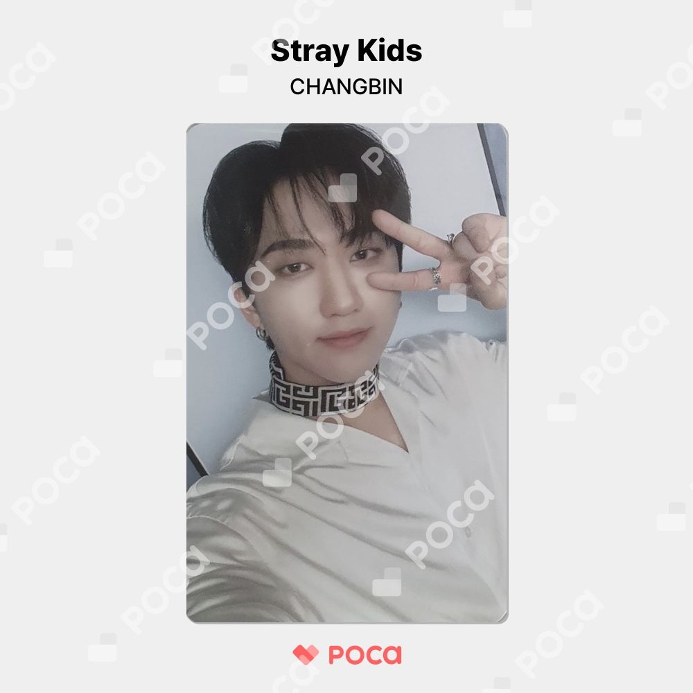 straykids Hi-STAY チャンビン トレカ straykids チャンビン スキズ トレカ 'Stay in STAY' JEJU