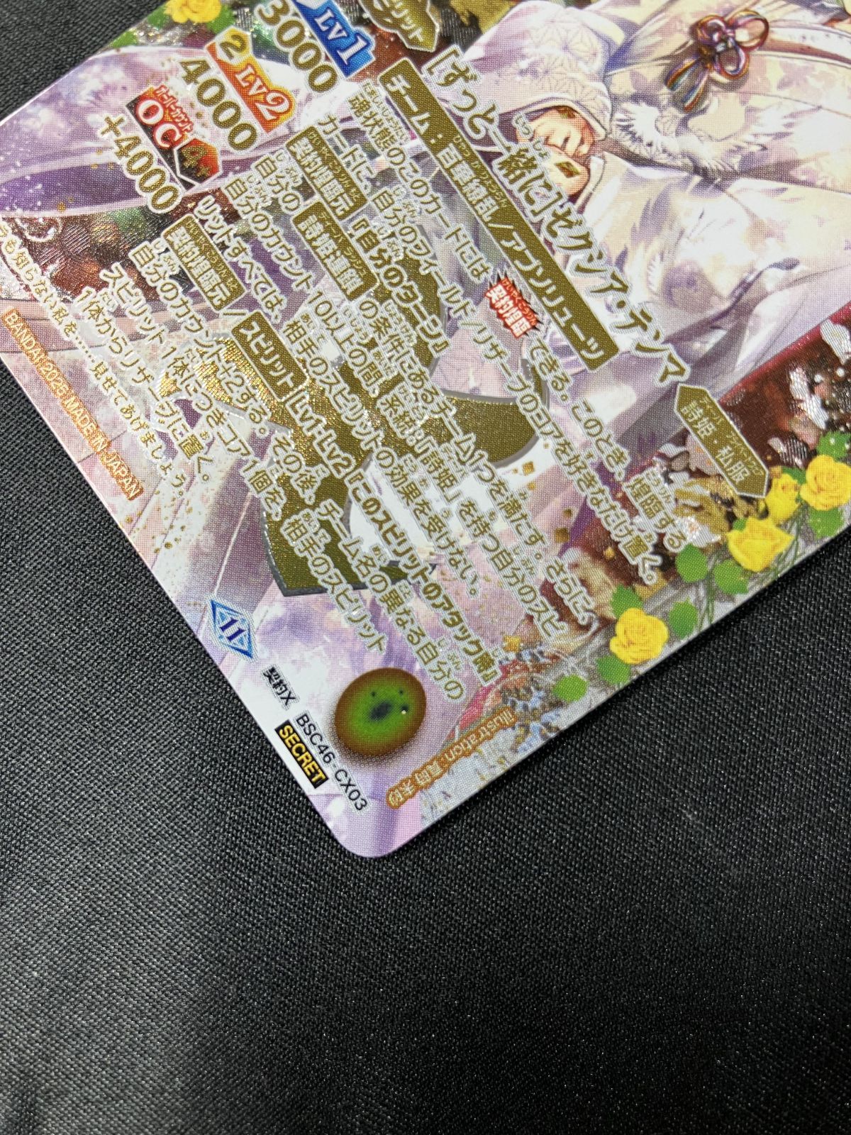 [ずっと一緒に]ゼクシア・テンマ【SECRET】 SECRET】[ずっと一緒に]ゼクシア・テンマ[BS_BSC46-CX03]【BSC46