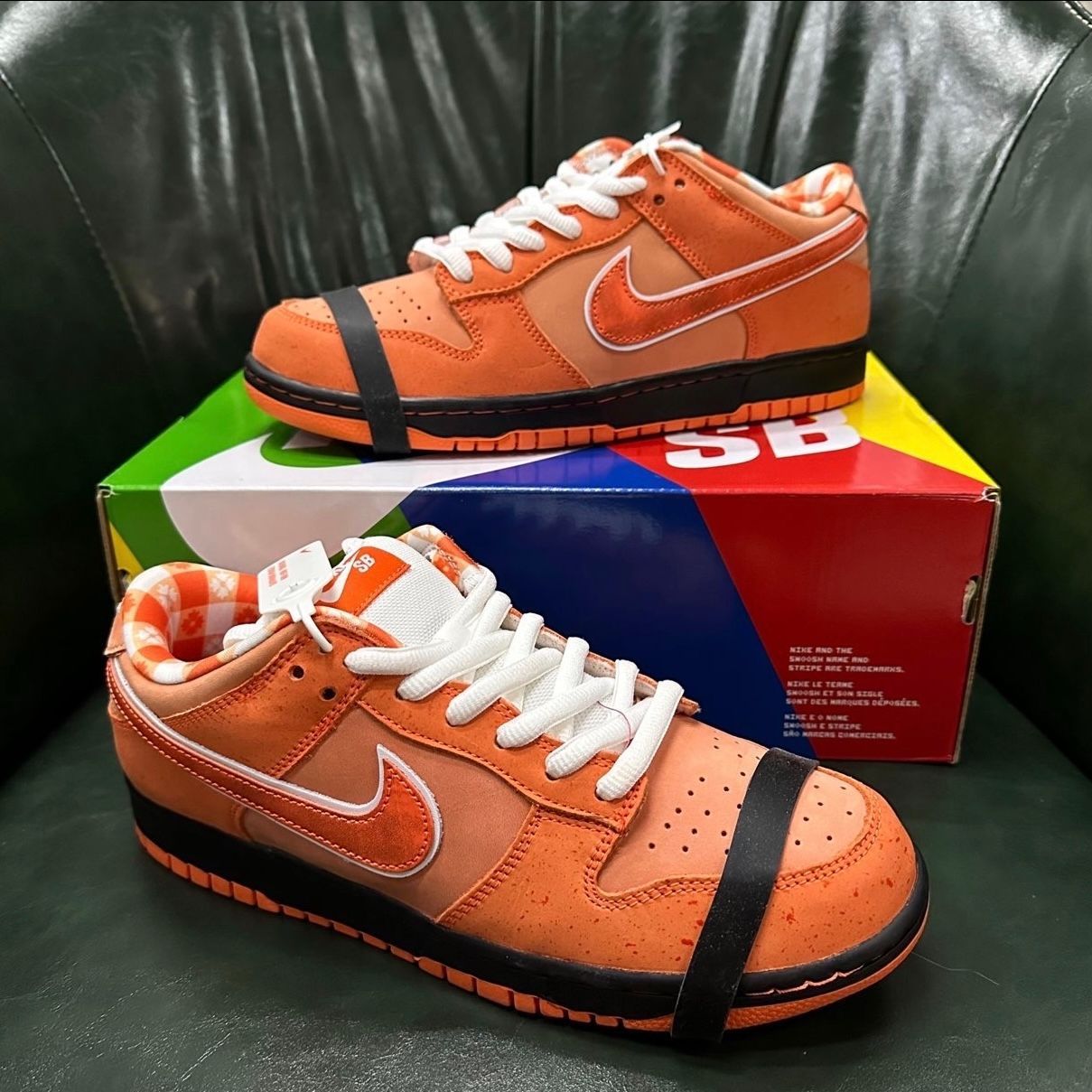 Concepts × Nike SB Dunk Low SP 