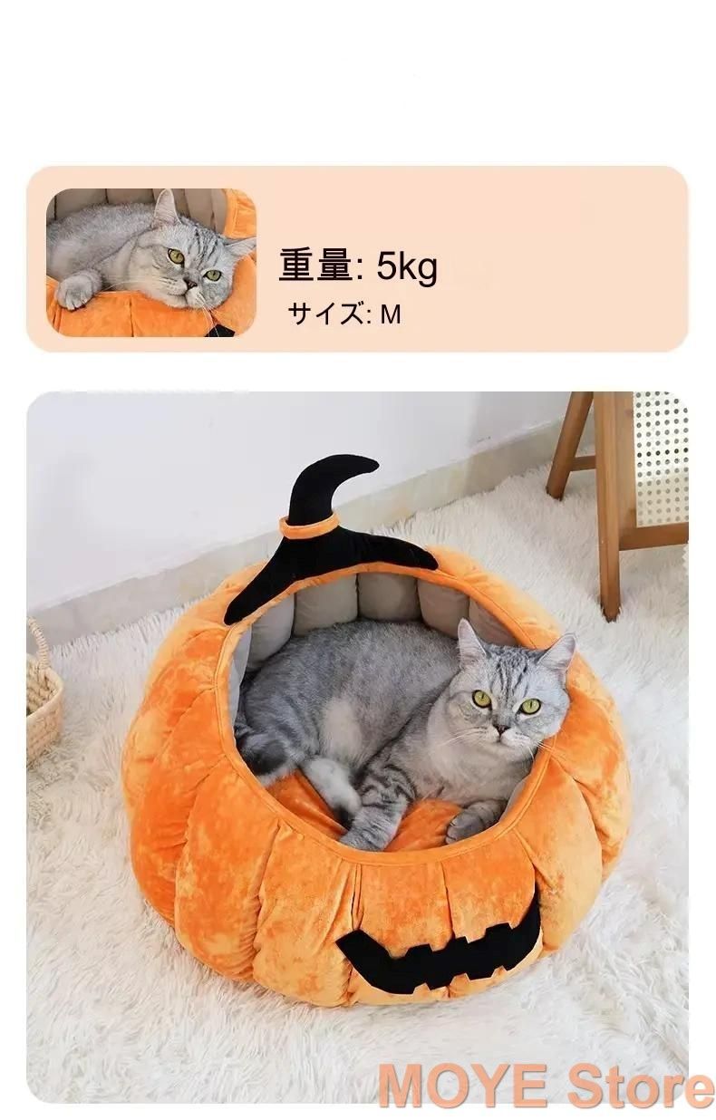 かわいい