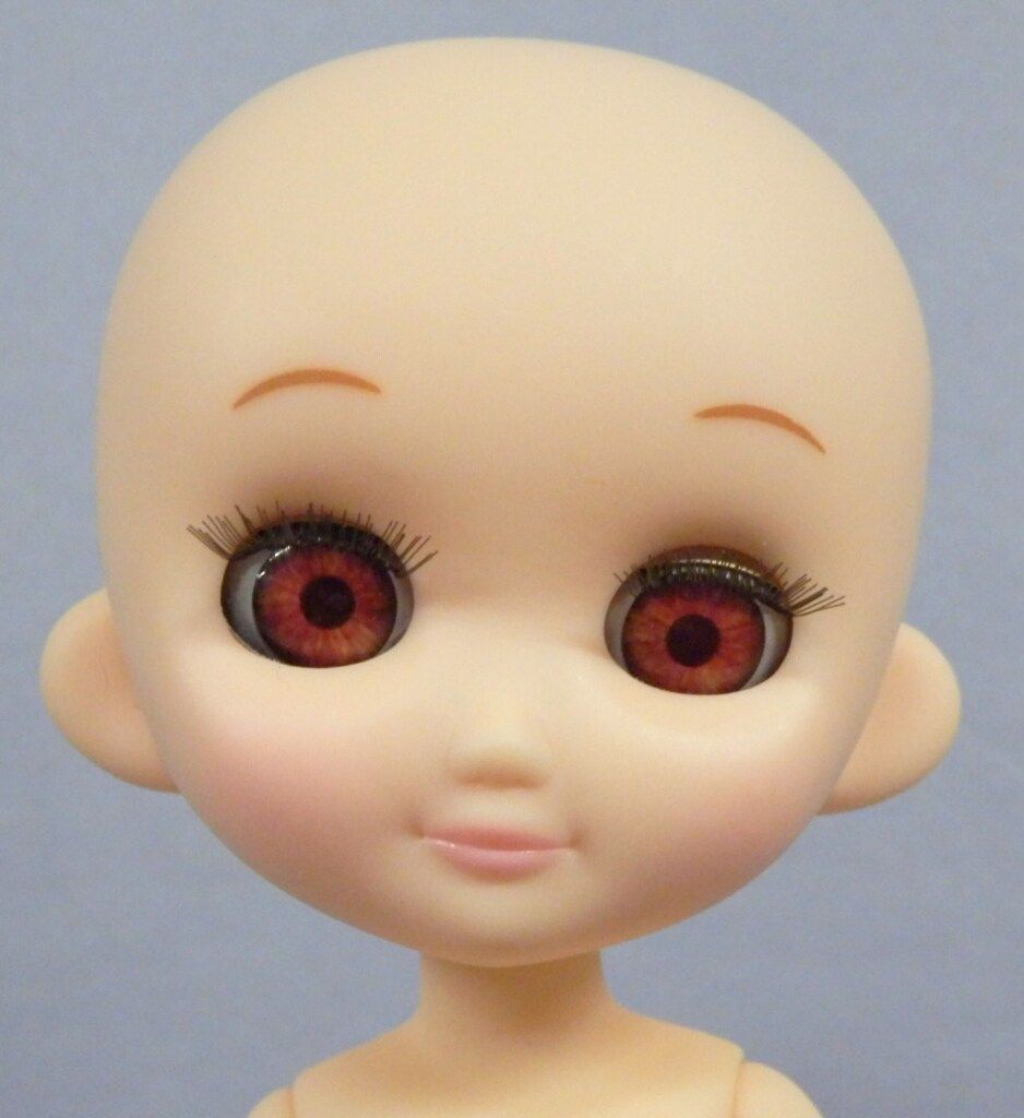 ペットワークス おでこちゃんとニッキ ホットパンツのおでこ