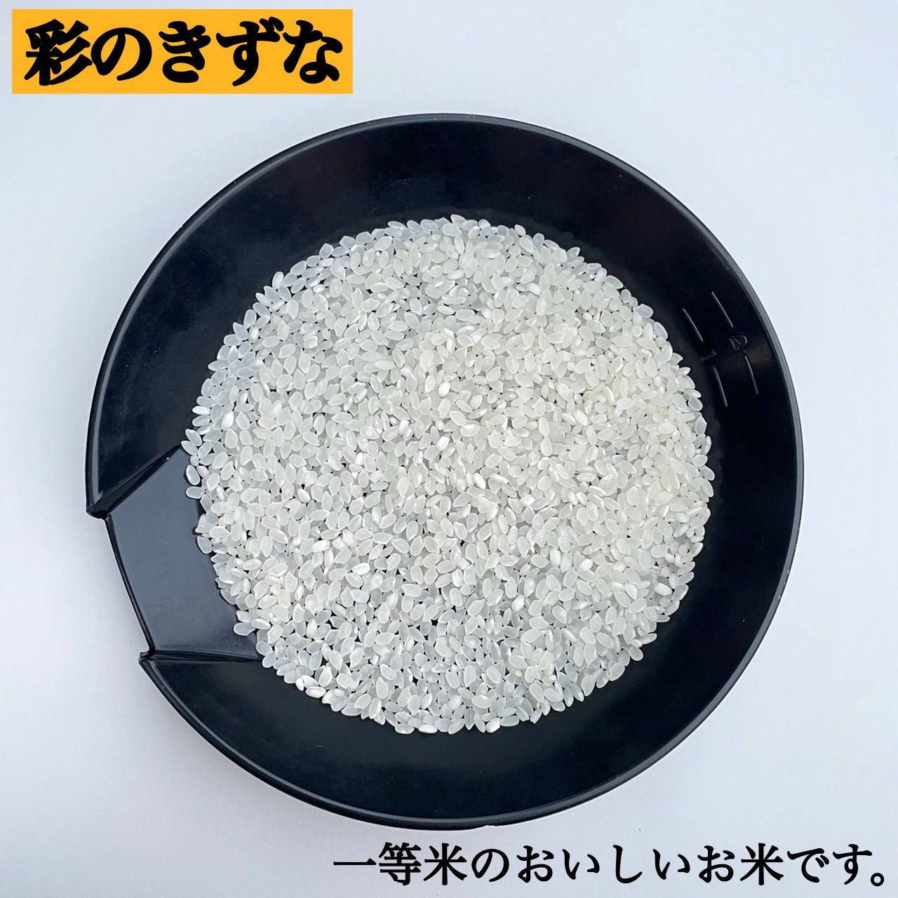 白米　10kg 彩のきずな　新米　埼玉県産　令和3年産　送料無料　米　10キロ