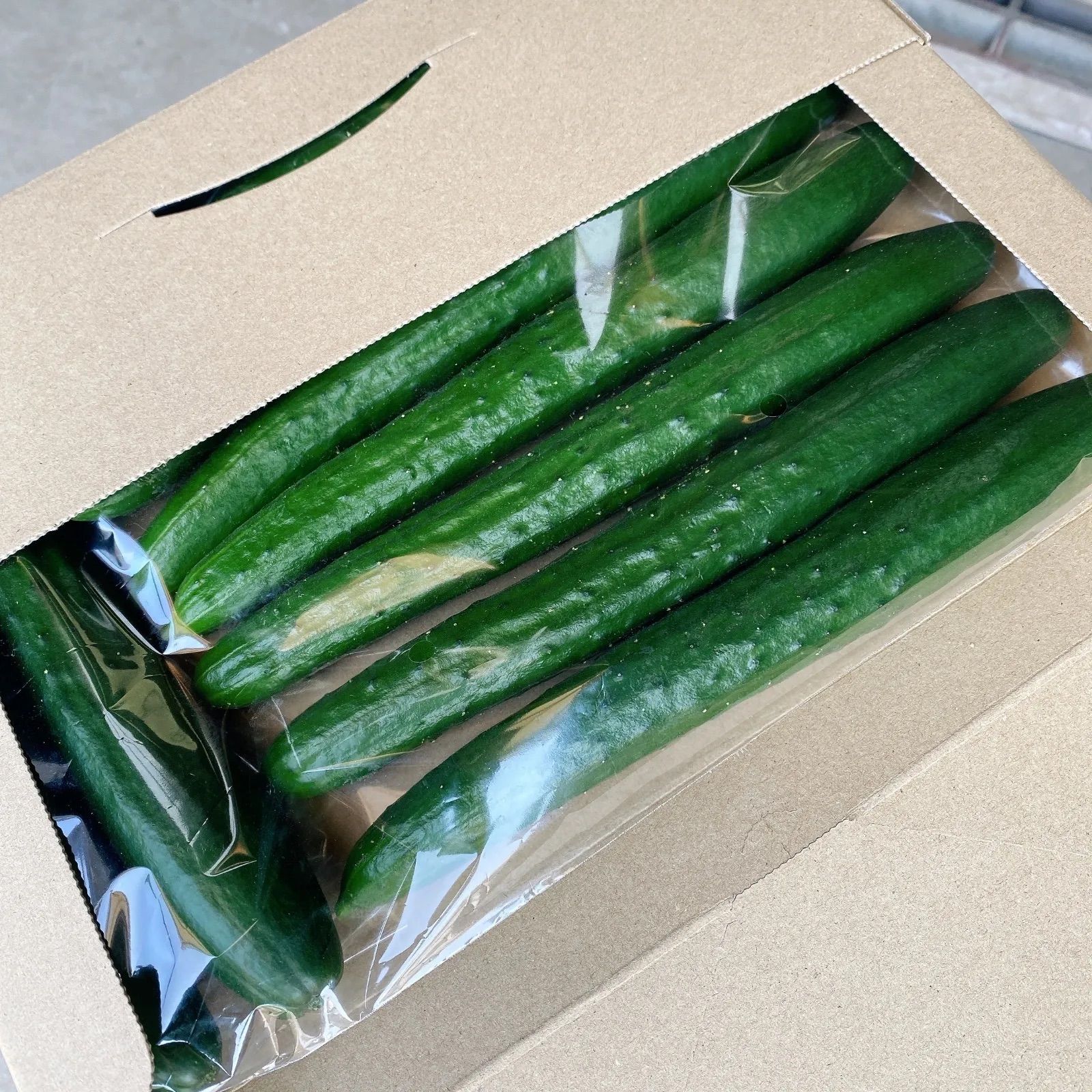 きゅうり1kg 宮崎県産 ネコポスサイズ - メルカリ きゅうり1kg 宮崎県産 ネコポスサイズ - メルカリ