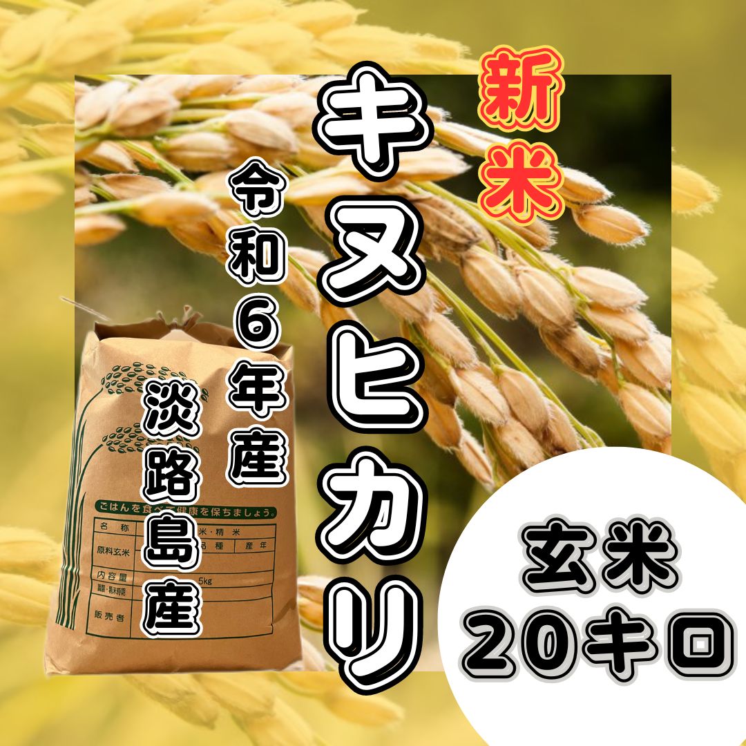 新米 玄米 令和6年産 兵庫県淡路島産 無農薬キヌヒカリ 20キロ