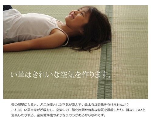 約286×382cm