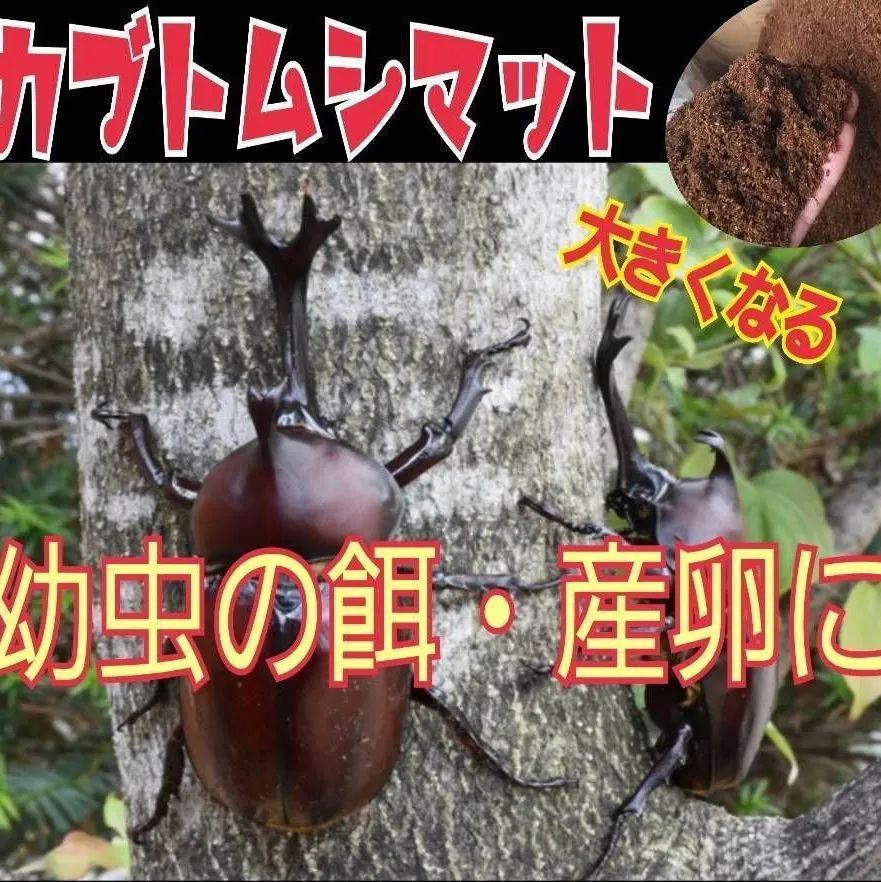 たっぷり5袋！カブトムシ幼虫が大きくなる！発酵マット☆抜群の栄養価！雑虫湧かない - メルカリ