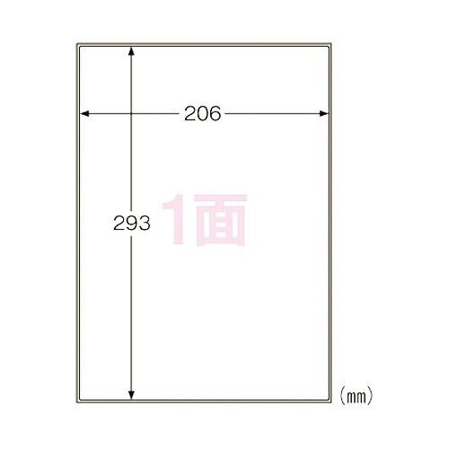 【まとめ買い10個セット品】 ヒサゴ 屋外用ラベル KLPA862S 10枚