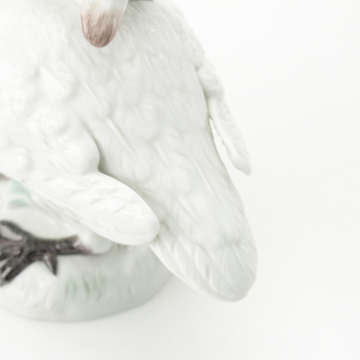 白鳥 親子