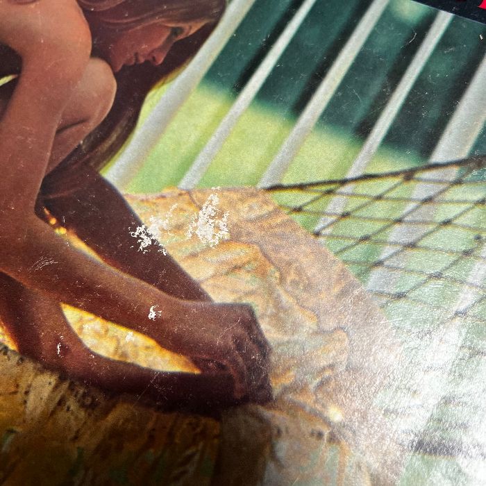 ドイツのフォトマガジン 洋書