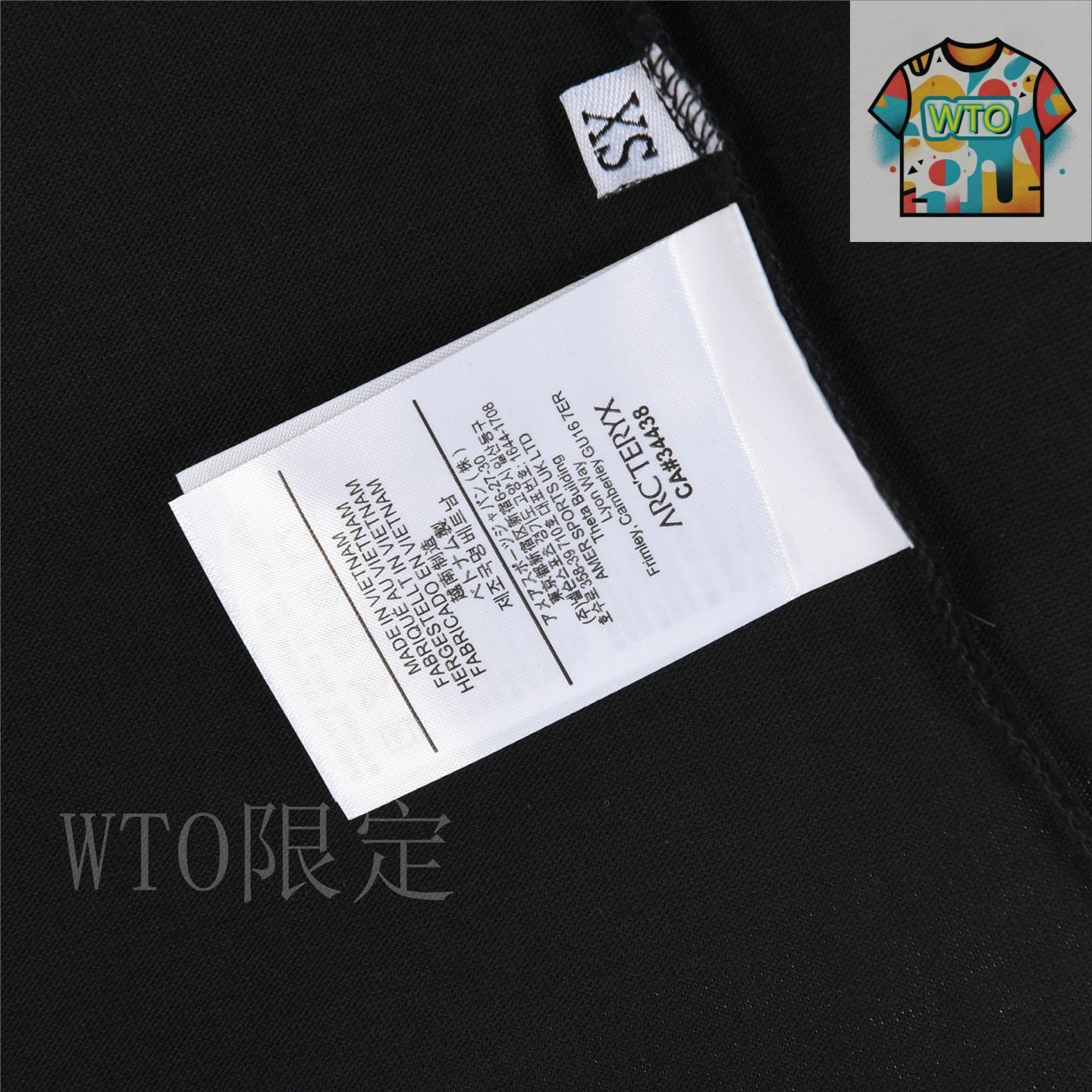 今日特価】ARCTERYX 2025 カラーグラデーション鳥ロゴ T シャツ