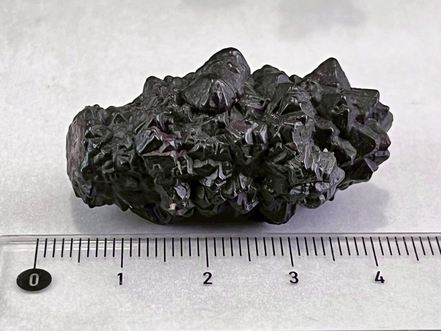 ゼットストーン プロフェシーストーン