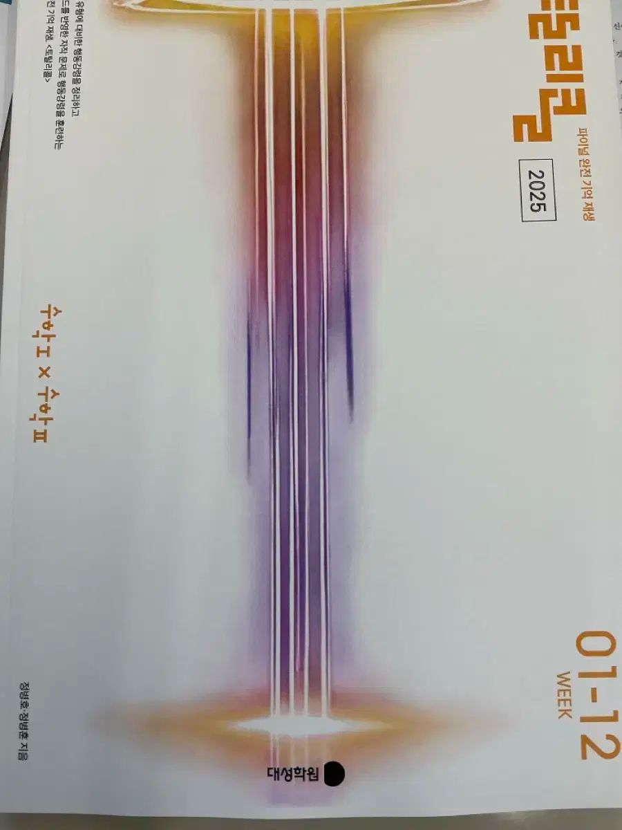 チョン・ビョンフン チョン・ビョンホ トゥー１－１２週目（いとこ用）