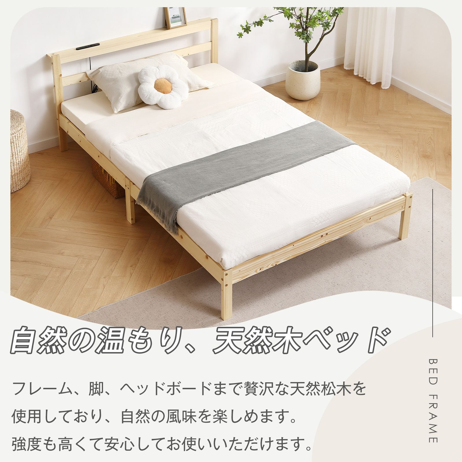 コンセント