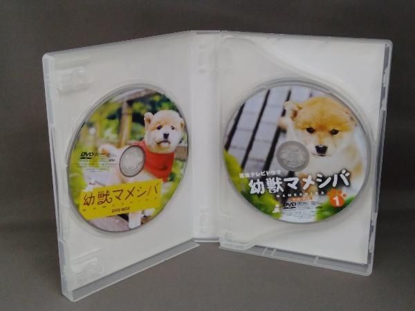幼獣マメシバ DVD-BOX Amazon.co.jp: 幼獣マメシバ DVD-BOX : 佐藤二朗, 高橋洋, 藤田