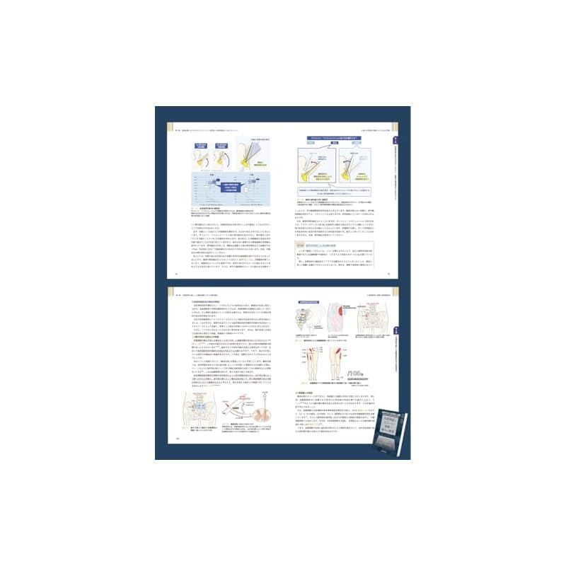 結果の出せる評価と治療 ー末梢神経とエコーから紐解く痛みの解釈ー