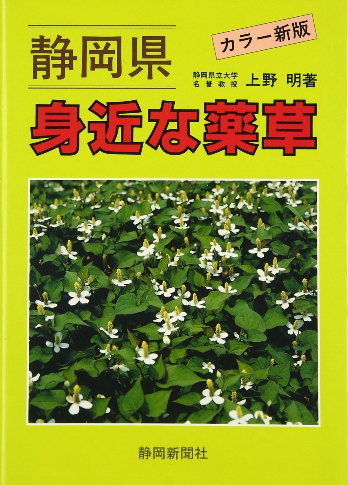 静岡県身近な薬草