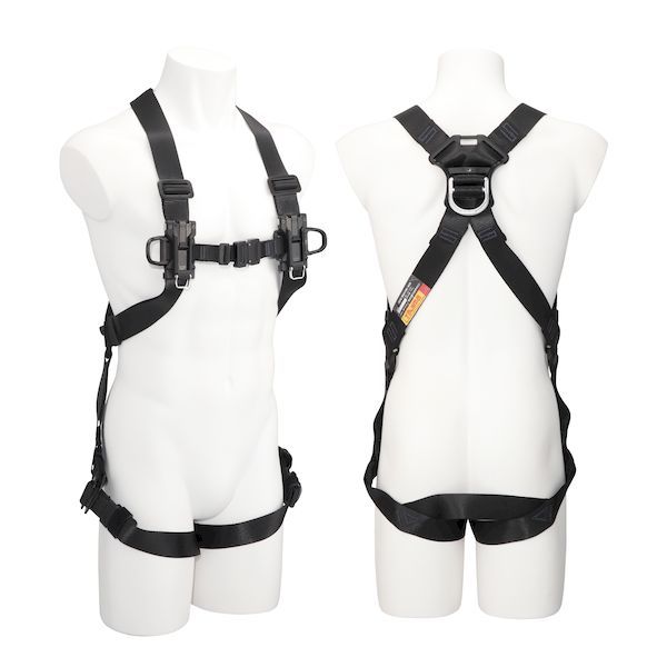 内田武夫 油絵肉筆 ざくろ ザクロ 絵画