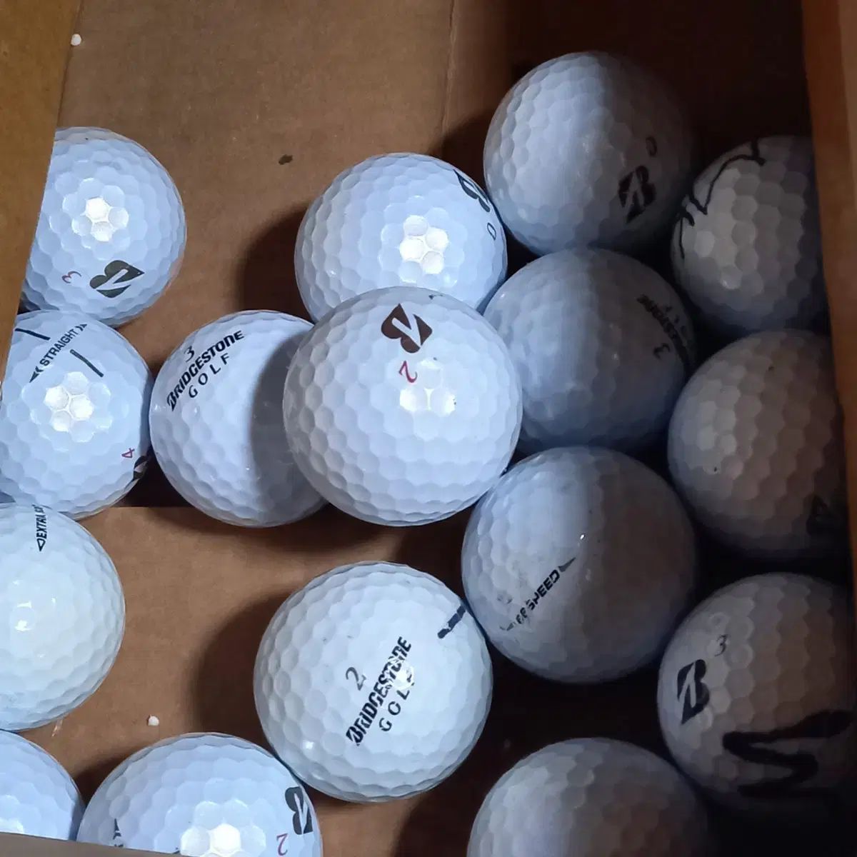 ブリヂストン Bridgestone ゴルフボール 50 犬