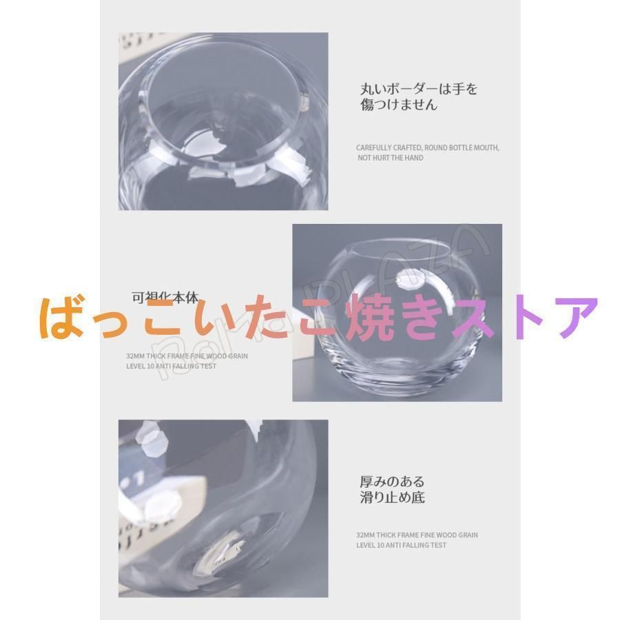 ミニ金魚 和風