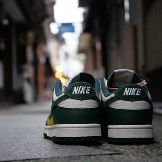 Nike WMNS Dunk Low SE 