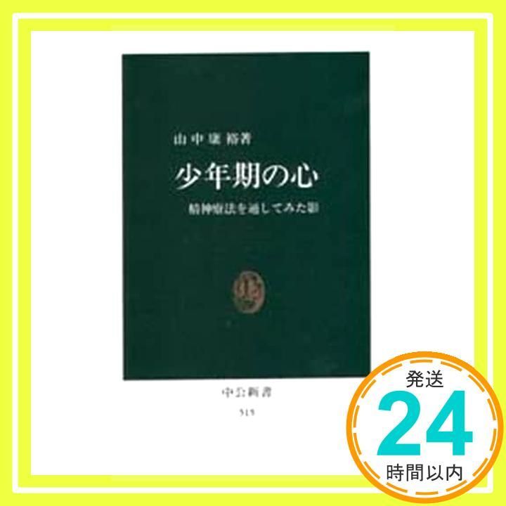 少年期の心 精神療法を通してみた影 中公新書 515 山中 康裕_04