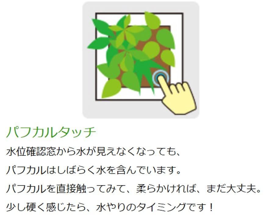 本物 壁掛け