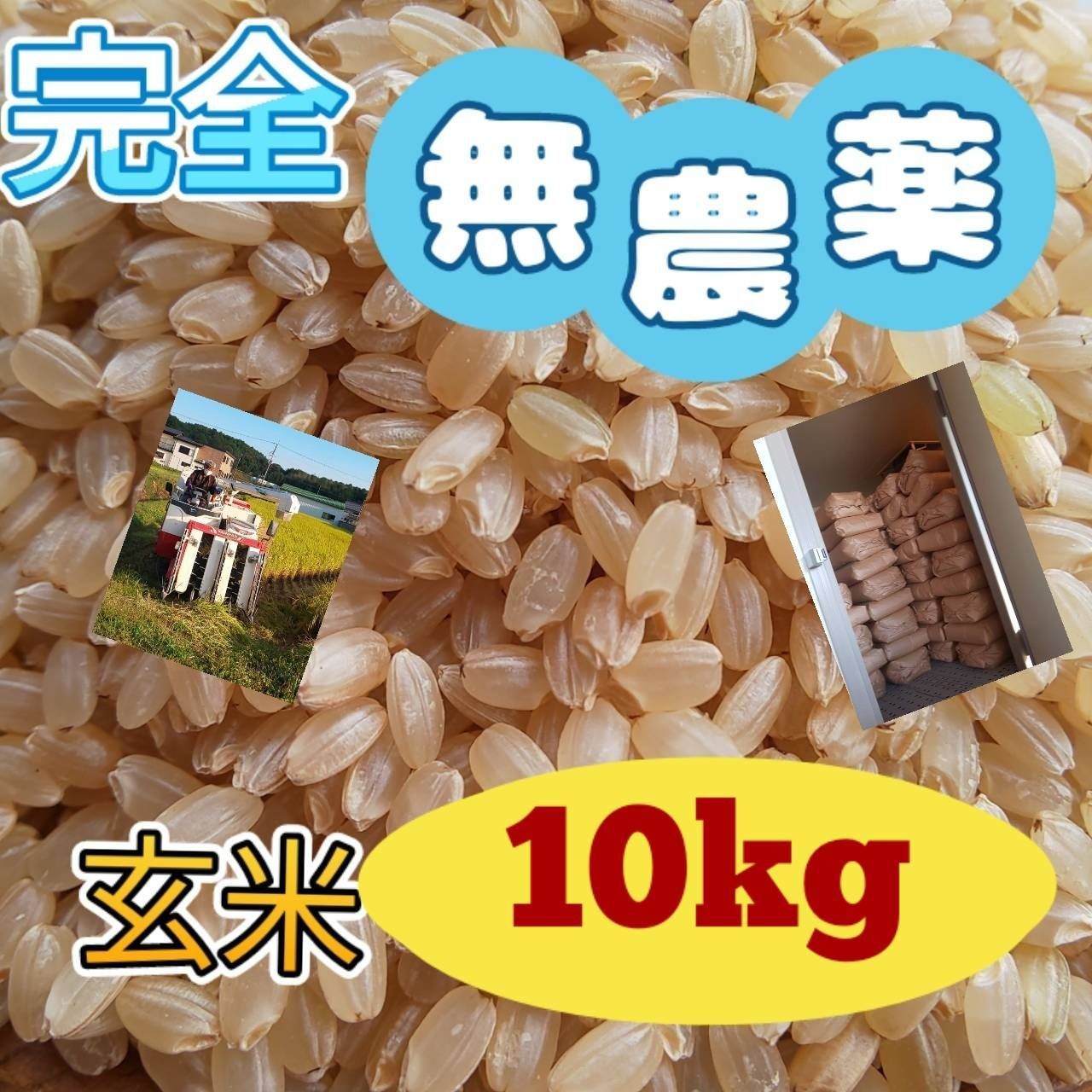農薬不使用 化学肥料不使用 無農薬 自然栽培米 ヒノヒカリ 大粒 玄米-