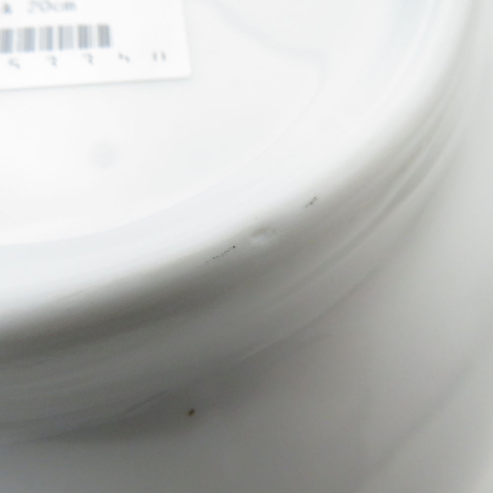 リチャードジノリ