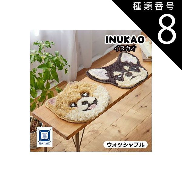 ホワイト 白 ハープ 23弦 専用ケース付き ホワイト 白 ハープ 23弦