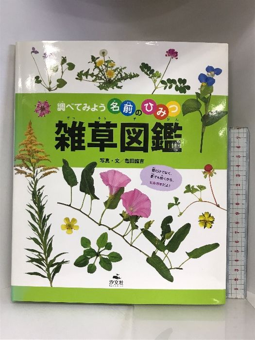 中古】映像で見る0・1・2歳のふれあいうた・あそびうた—やさしさ