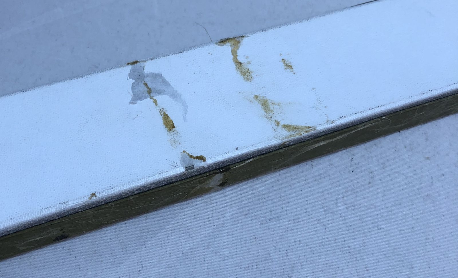  堺孝行 筋引 包丁 ツバ付 INOX 240 モリブデン鋼 青木刃物 その他 包丁 ナイフ